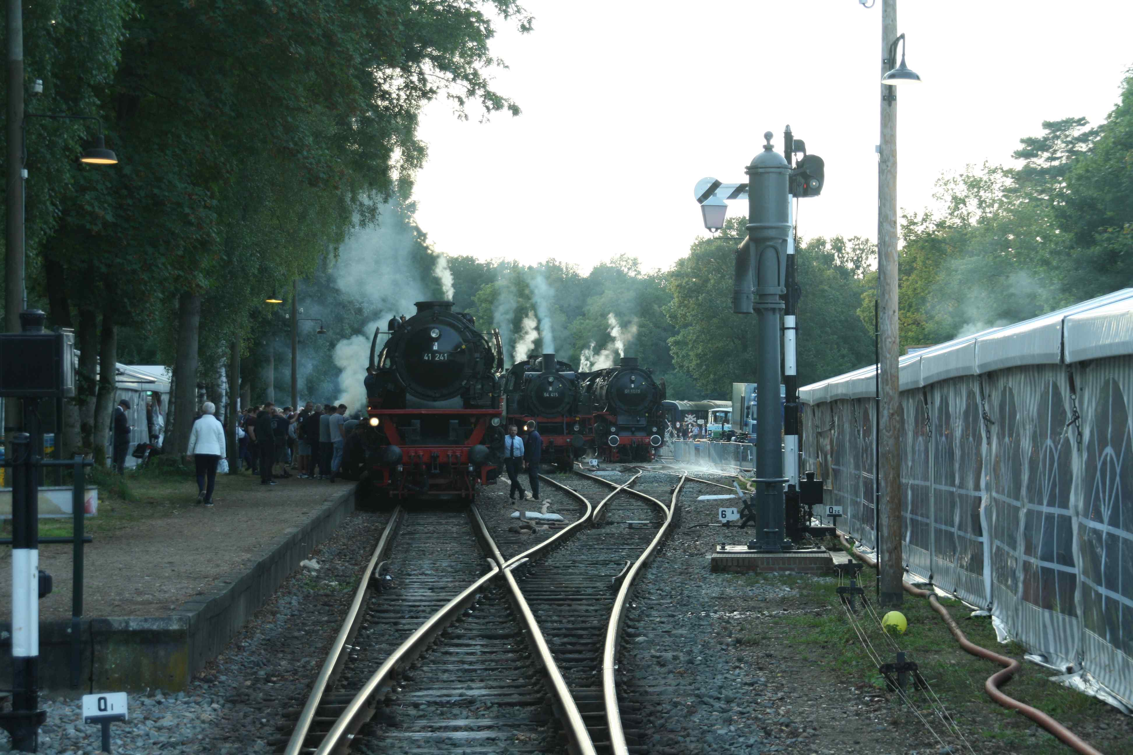 230902 415 Loenen Bf Dampfloks VSM ex DB 41 241 VSM ex DB 64 415 und 01 3 im Nachtlager komp