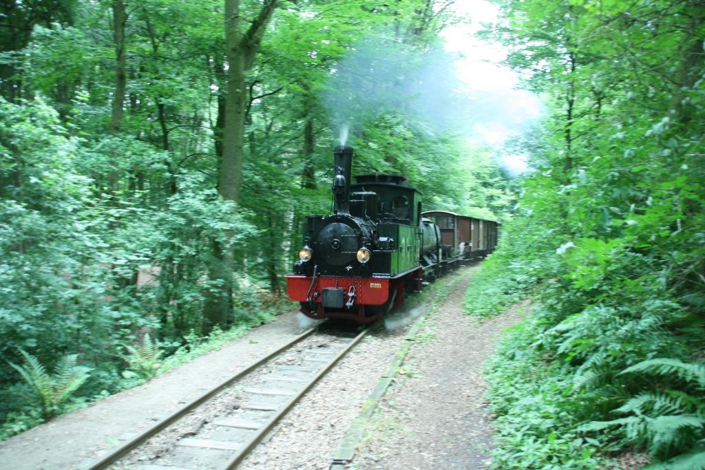 230702 142 Vilser Holz Hp DEV Lok Hermann mit G1645 bei Bergfahrt