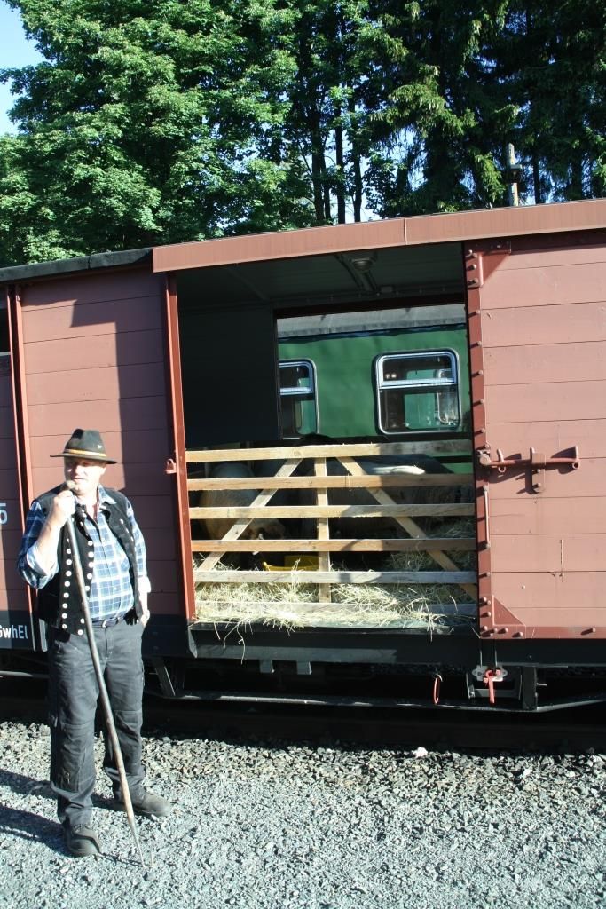 220812 017 Oberwiesenthal Bw SDG F Gterwagen DR GGwhEl 97 15 05 mit Schfer und Herde 2