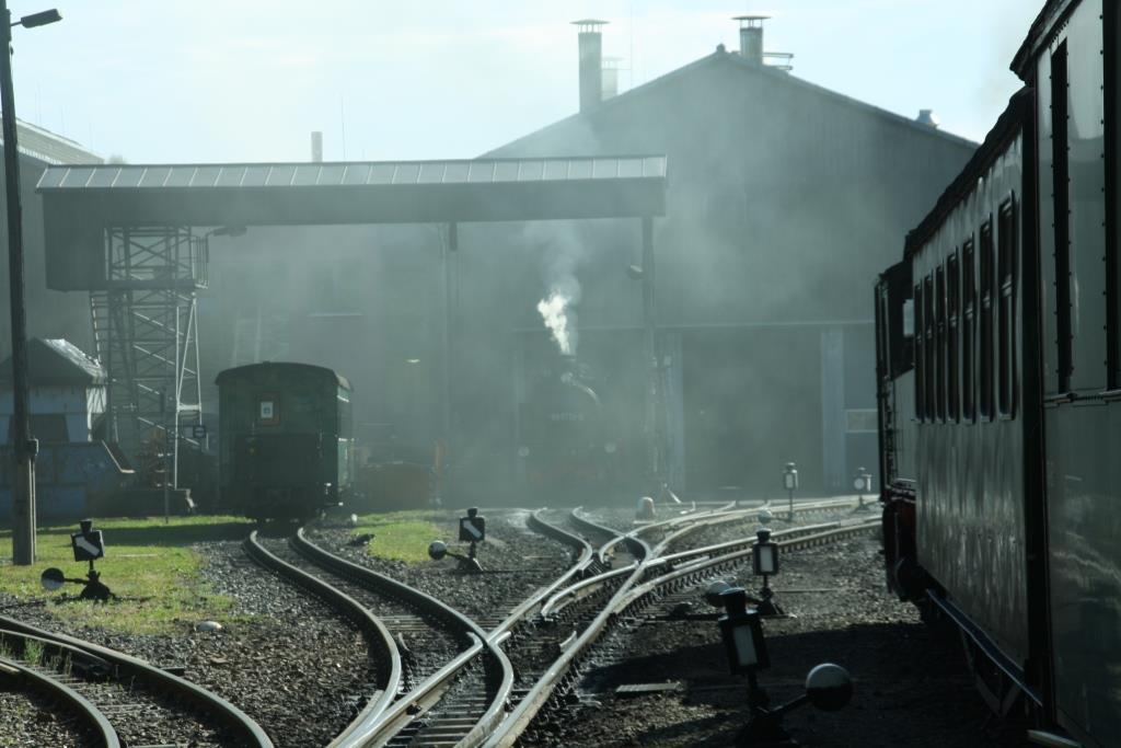 220812 061 Oberwiesenthal Bw SDG F VIIK 99 1772 5 nebelt Schuppen ein